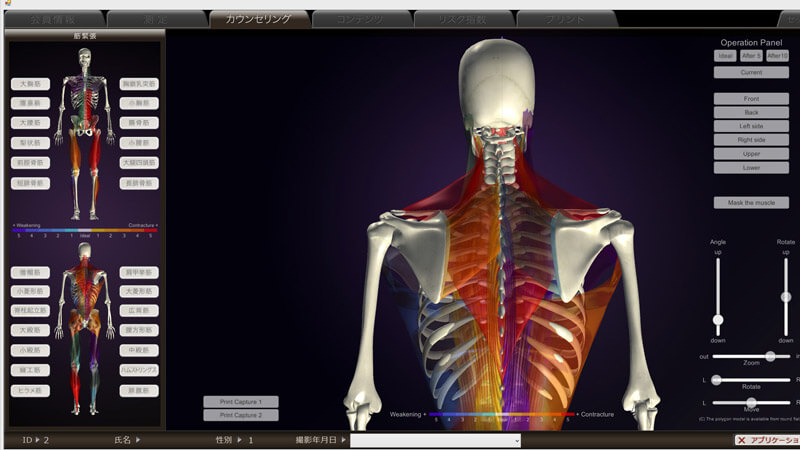 高細密3D C.Gでカラダのゆがみを確認|姿勢分析システム peek a body